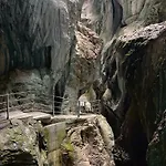 Alpenrose Hotel