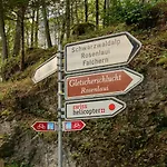 Alpenrose Hotel Innertkirchen