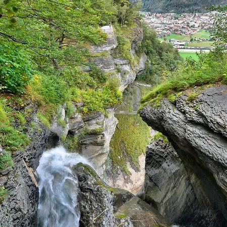 Alpenrose 2*