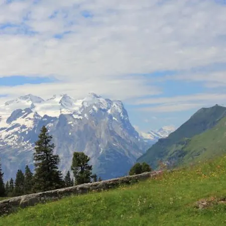 Отель Alpenrose