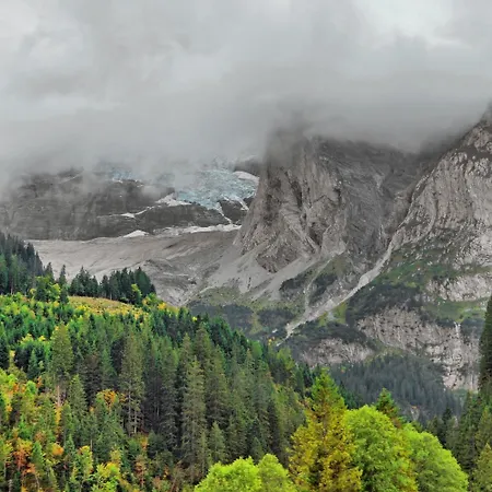 Отель Alpenrose 2*