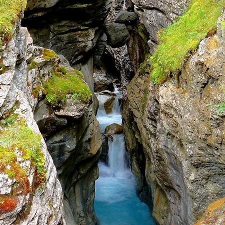 Otel Alpenrose