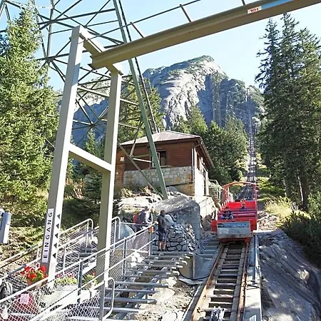 Alpenrose 2*