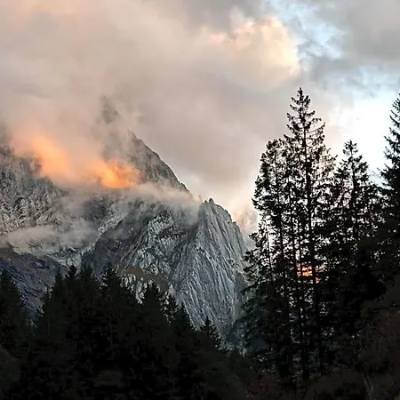 Alpenrose Hotel