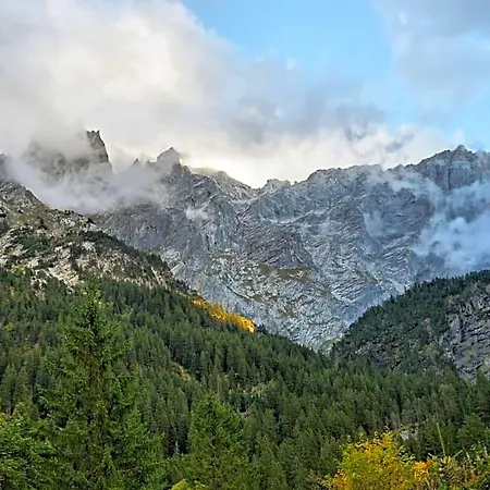 Alpenrose