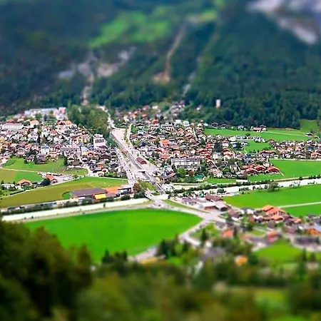 Otel Alpenrose Innertkirchen