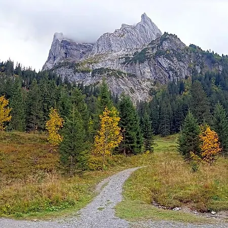Alpenrose Innertkirchen