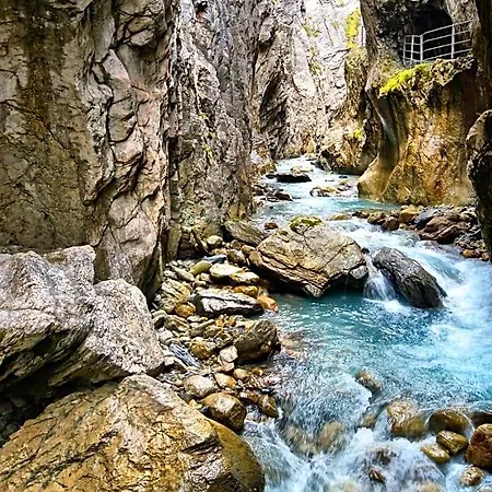 Alpenrose Innertkirchen
