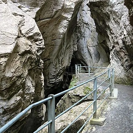 Alpenrose Innertkirchen