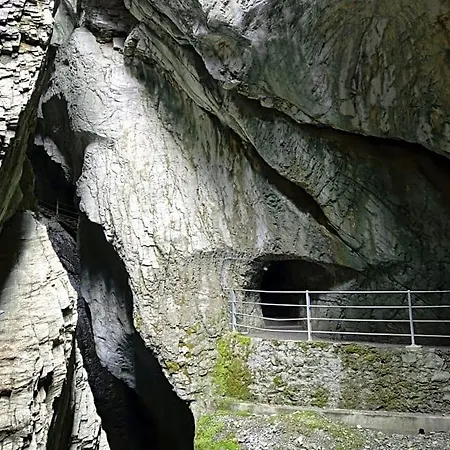 Alpenrose Otel