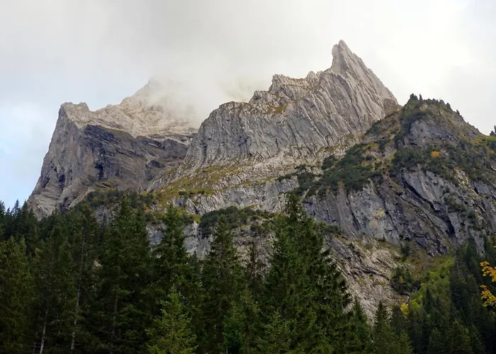 Alpenrose Hotel Innertkirchen