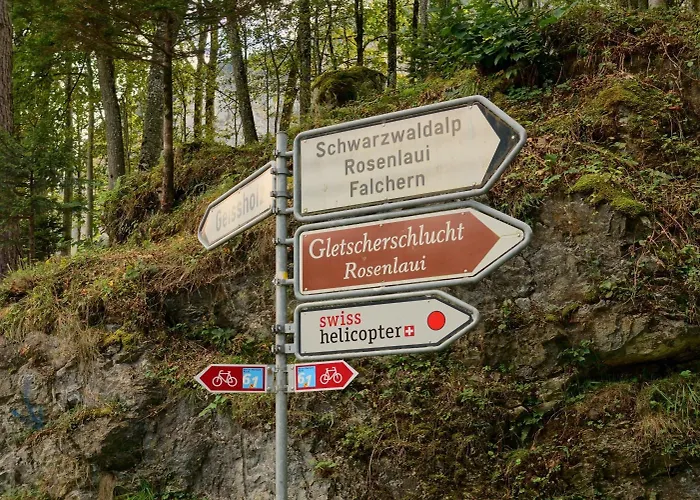 Alpenrose Hotel Innertkirchen