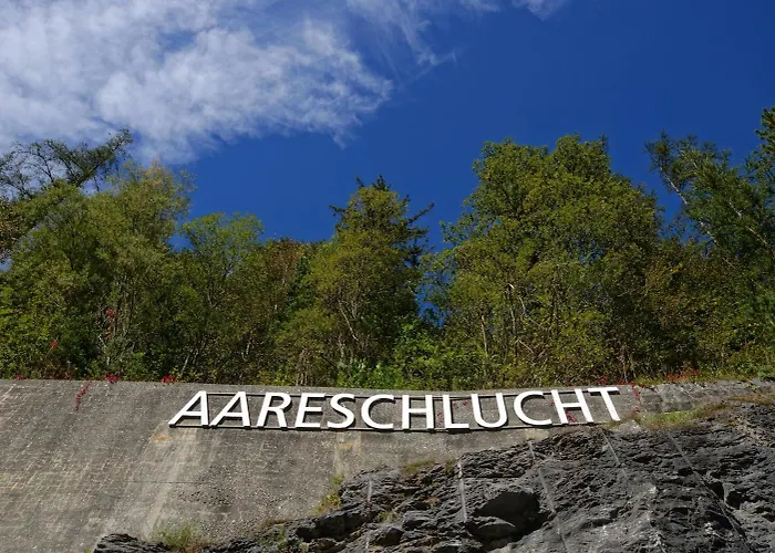 Alpenrose Otel Innertkirchen