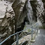 Alpenrose 2*
