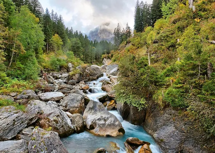 Alpenrose 2* Innertkirchen