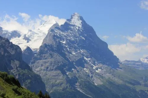 Alpenrose 2* Innertkirchen