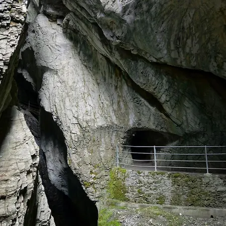 Szálloda Alpenrose 2*