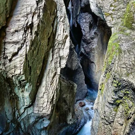 Отель Alpenrose