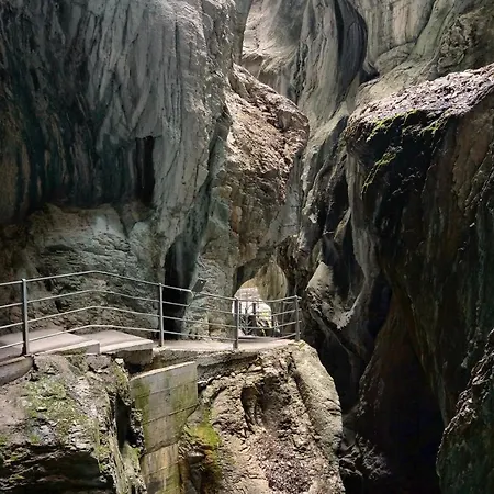 Alpenrose Отель
