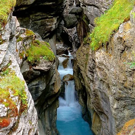 Alpenrose Отель