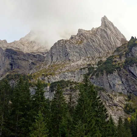 Alpenrose Отель Иннерткирхен