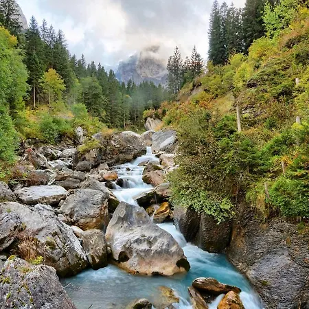 Alpenrose 2* Innertkirchen