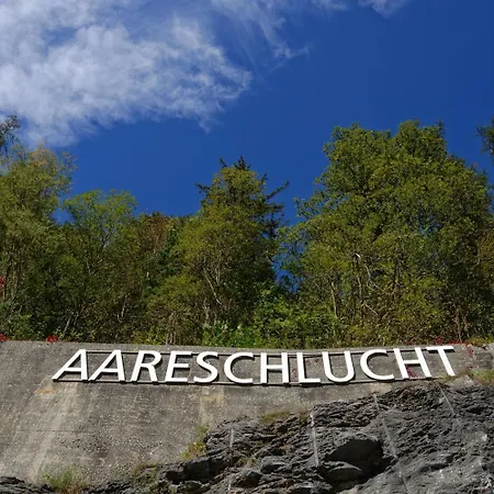 Alpenrose Szálloda Innertkirchen