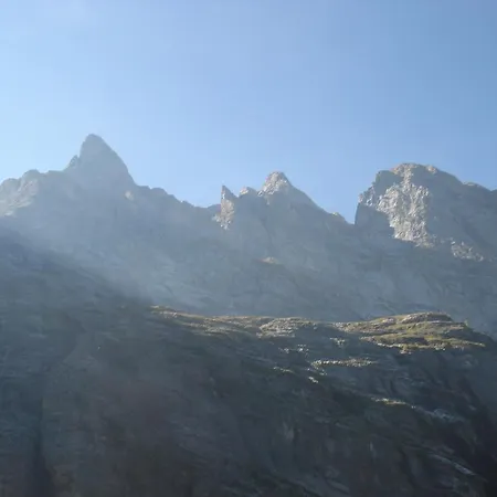 Alpenrose 2* Innertkirchen