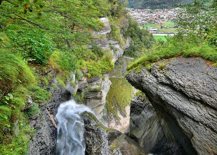 Alpenrose 2*
