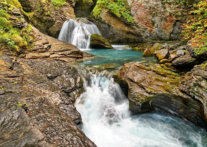 Alpenrose מלון 2*